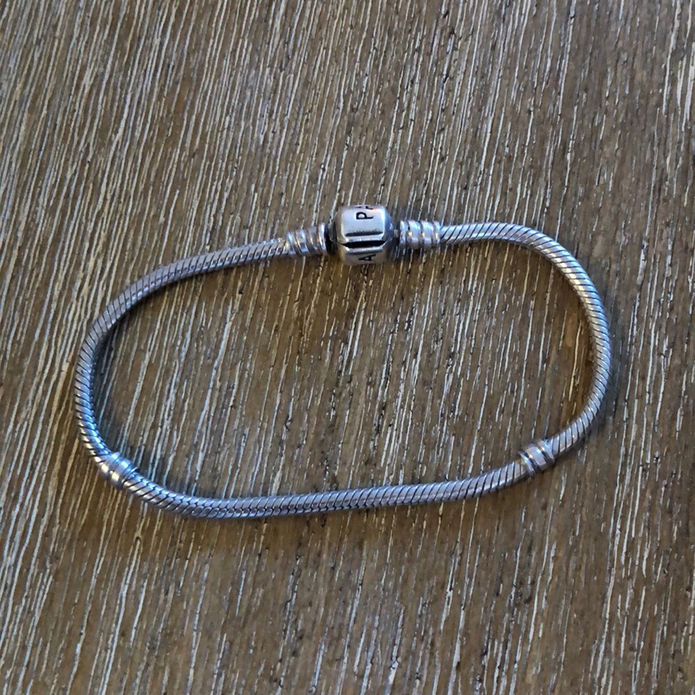 Original Pandora Charm Bracelet